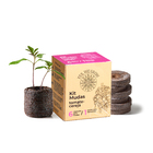 Kit Mudas | Tomate Cereja